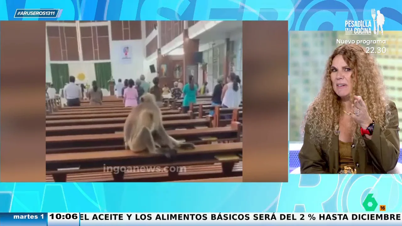 La reacción de Angie Cárdenas al viral de un mono en misa: "¿No crees que está controlando el cepillo?"