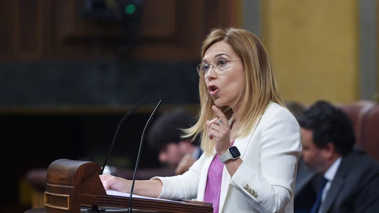 La vicesecretaria de Igualdad, Conciliación y Política Social del PP, Ana Alós La vicesecretaria de Igualdad, Conciliación y Política Social del PP, Ana Alós