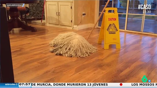 Un dueño creativo crear el disfraz de camuflaje perfecto: así es el "perro fregona" Un dueño creativo crear el disfraz de camuflaje perfecto: así es el "perro fregona"