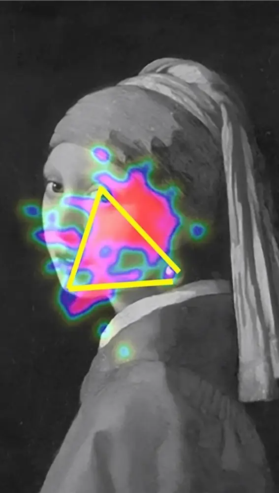 Zonas principales de "La joven de la perla" Zonas principales de "La joven de la perla"