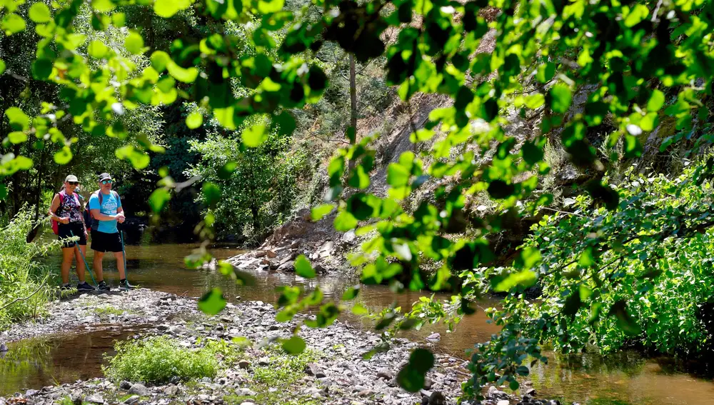 Festival de Caminatas de Monchique Festival de Caminatas de Monchique