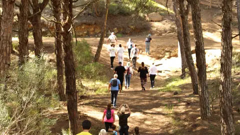 Walk & Art Fest de Barao de San Joao Walk & Art Fest de Barao de San Joao