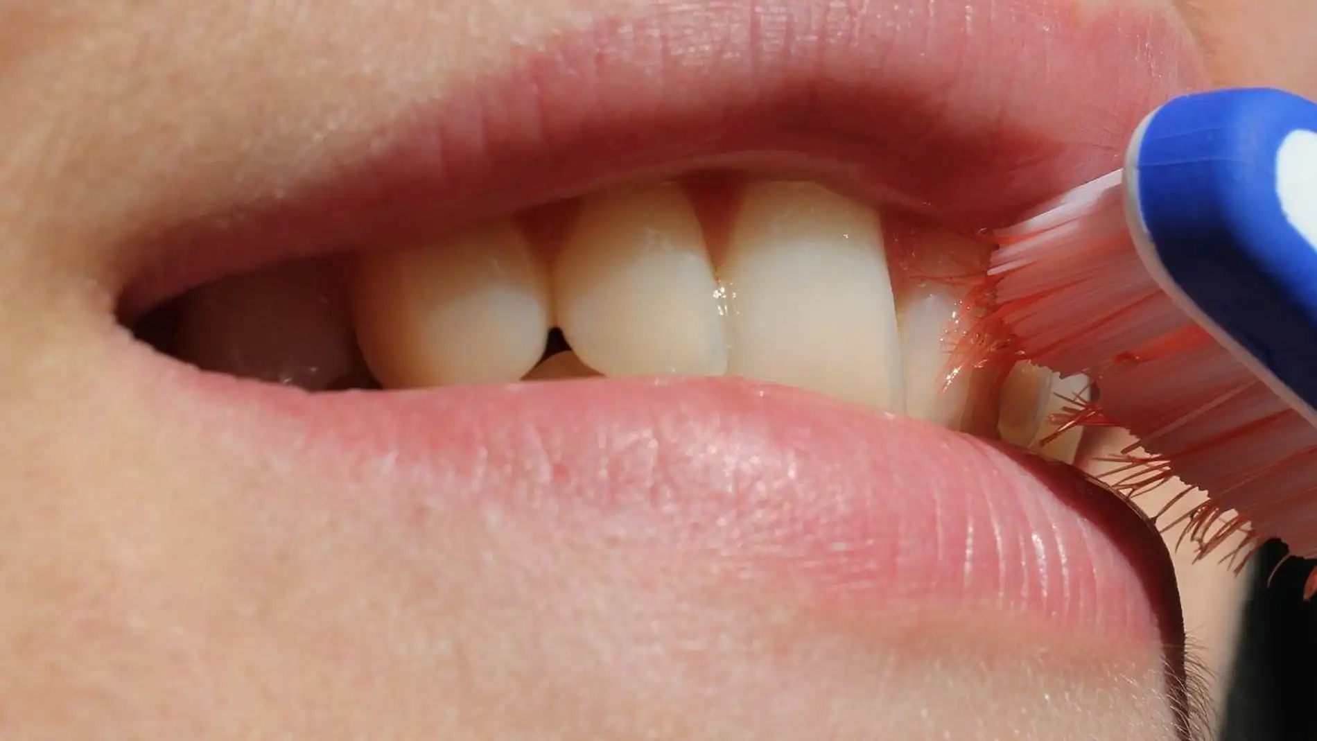 Cepillar los dientes Cepillar los dientes