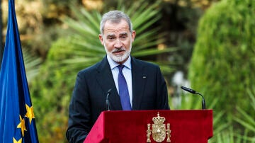 Felipe VI, durante su visita en Jordania