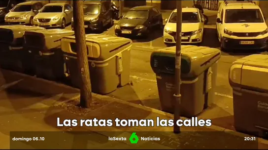 Plaga de Ratas PlagaRatasSants