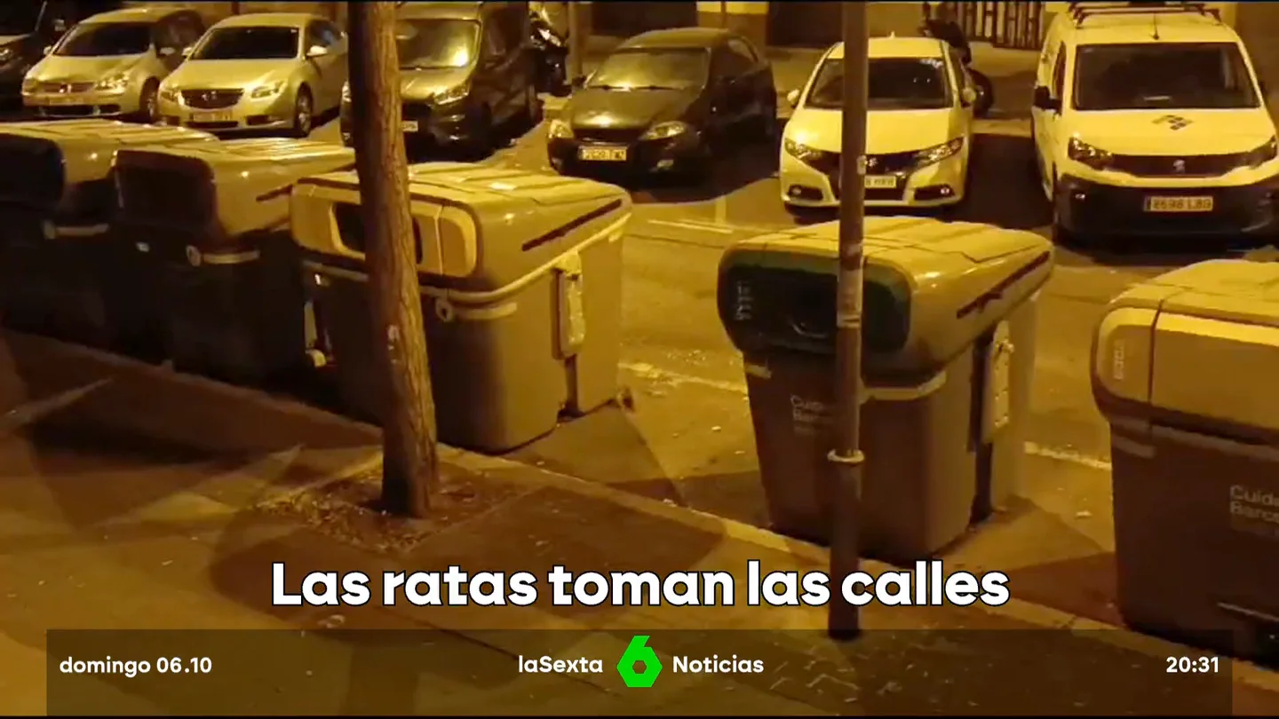 Plaga de Ratas PlagaRatasSants