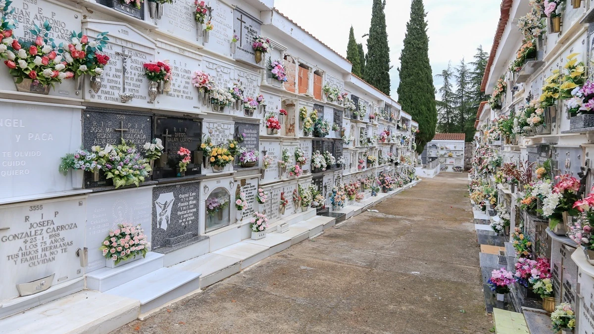 Imagen de un cementerio 