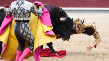 El diestro Roca Rey sufre una cogida durante el festejo taurino de la Feria de Octubre que se celebra este domingo en la Monumental de Las Ventas, en Madrid