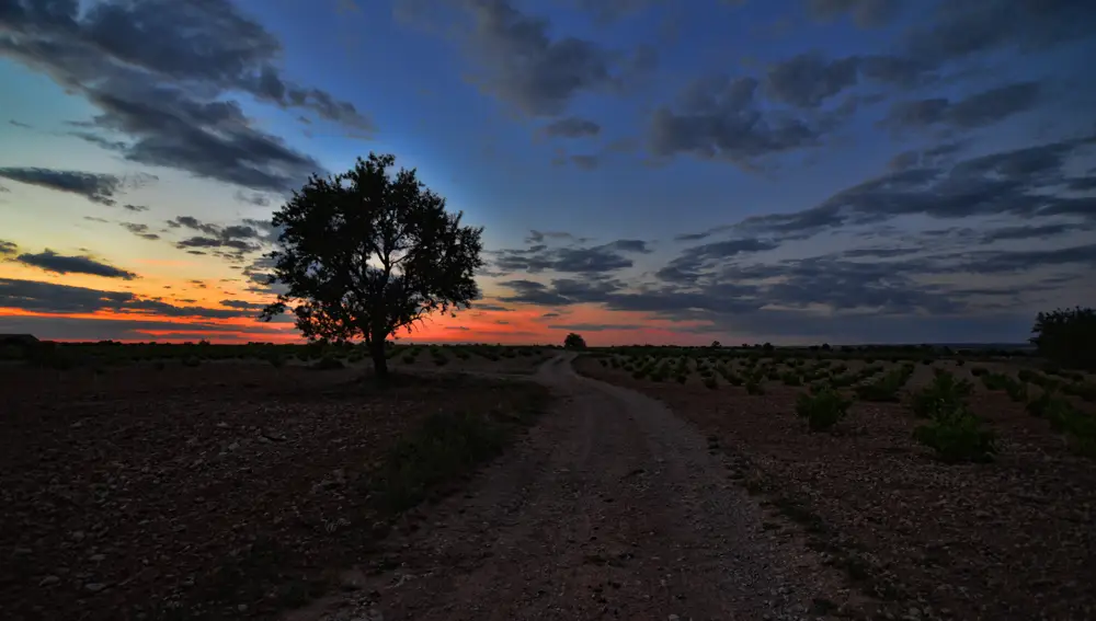 El Toboso por la noche El Toboso por la noche
