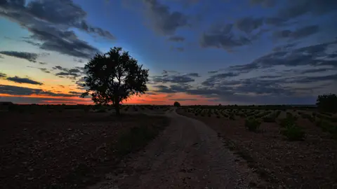 El Toboso por la noche El Toboso por la noche