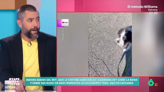 Dani Mateo tras ver a un perro ladrando a un cartel de Donald Trump: "Este es un perro con valores demócratas muy convencidos" Dani Mateo tras ver a un perro ladrando a un cartel de Donald Trump: "Este es un perro con valores demócratas muy convencidos"