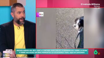 Dani Mateo tras ver a un perro ladrando a un cartel de Donald Trump: "Este es un perro con valores demócratas muy convencidos"