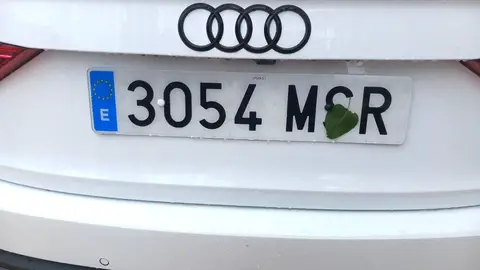 Truco de la hoja con imán en la matrícula Truco de la hoja con imán en la matrícula