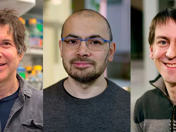 Baker Hassabis y Jumper Nobel de Quimica descifrar la estructura de las proteinas Baker Hassabis y Jumper Nobel de Quimica descifrar la estructura de las proteinas