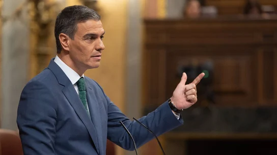 Pedro Sánchez en el Congreso de los Diputados Pedro Sánchez en el Congreso de los Diputados