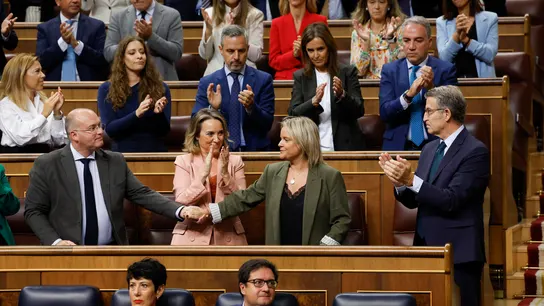 La senadora del PP Marimar Blanco acude al pleno del Congreso La senadora del PP Marimar Blanco acude al pleno del Congreso