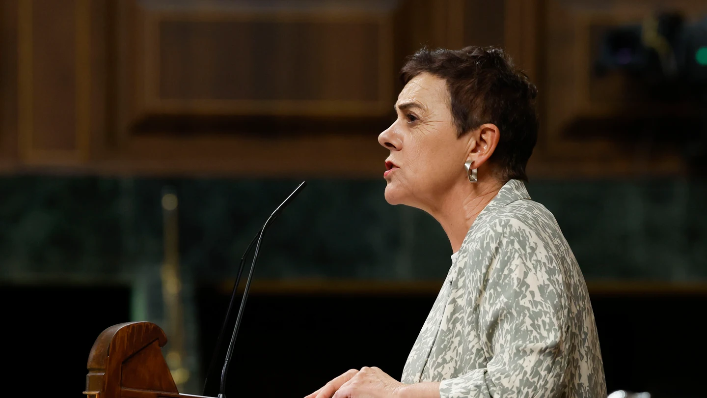 La portavoz de EH Bildu, Mertxe Aizpurua interviene este miércoles en el Congreso La portavoz de EH Bildu, Mertxe Aizpurua interviene este miércoles en el Congreso