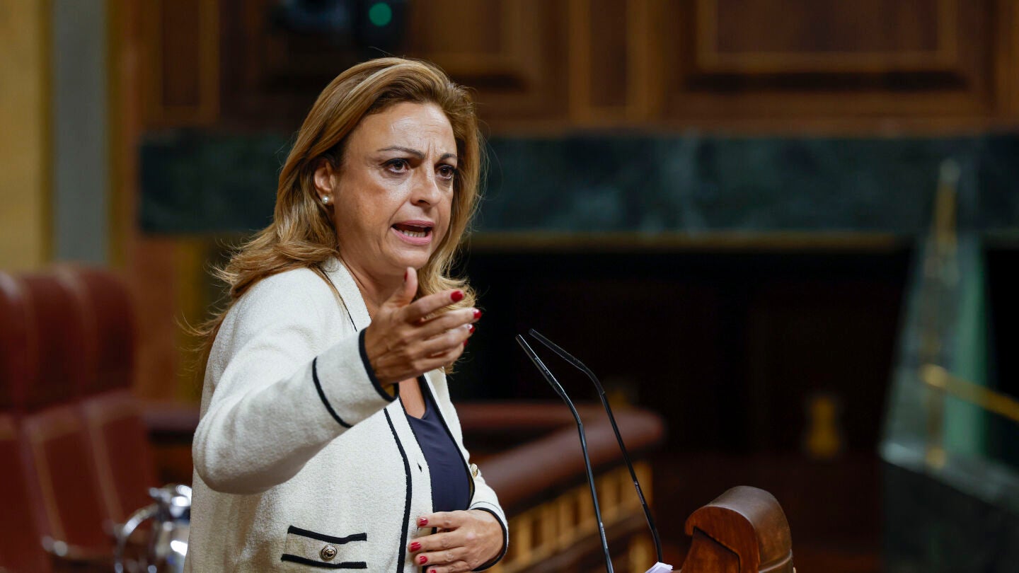 La diputada del grupo mixto Cristina Valido interviene este miércoles en el Congreso
