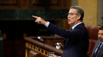 El presidente del PP, Alberto N&uacute;&ntilde;ez Feij&oacute;o, en el Congreso