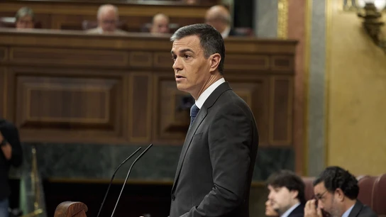 El presidente del Gobierno, Pedro Sánchez, interviene durante una sesión de control al Gobierno. El presidente del Gobierno, Pedro Sánchez, interviene durante una sesión de control al Gobierno.