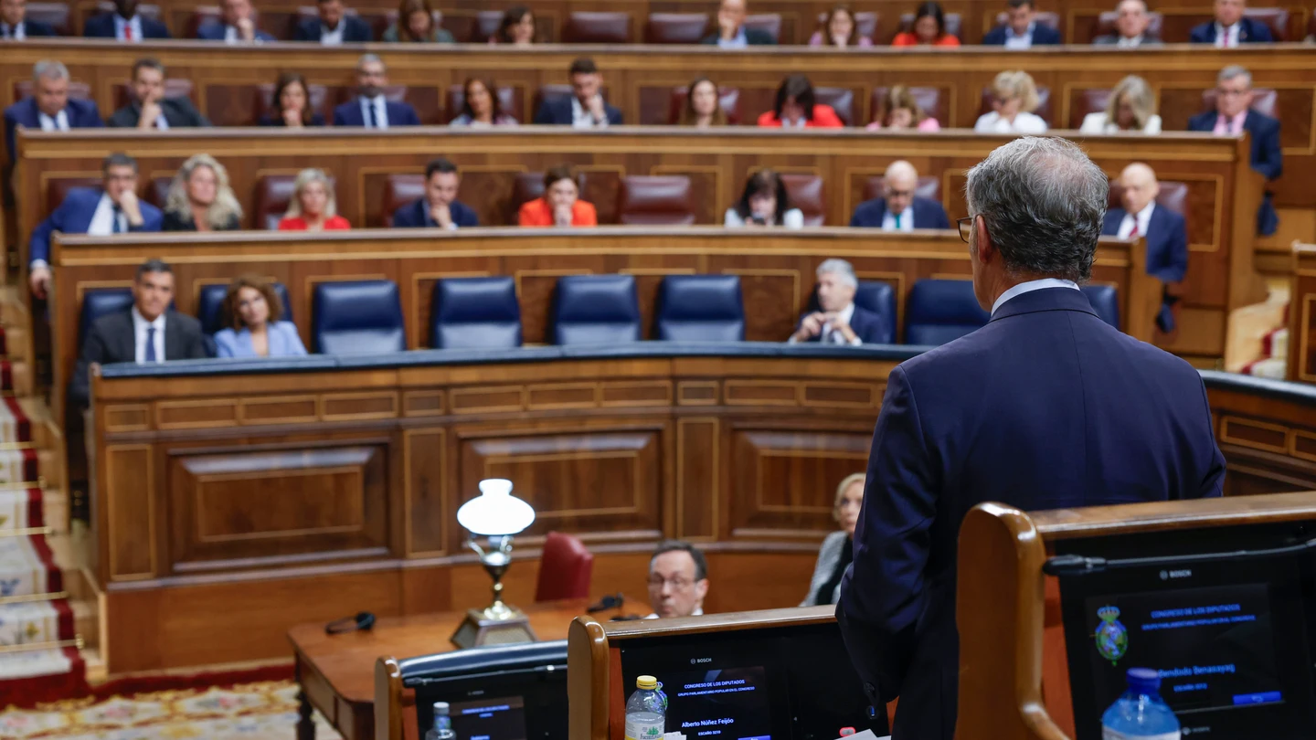 El líder del PP, Alberto Núñez Feijóo (de espaldas), interviene en la sesión de control al Gobierno El líder del PP, Alberto Núñez Feijóo (de espaldas), interviene en la sesión de control al Gobierno