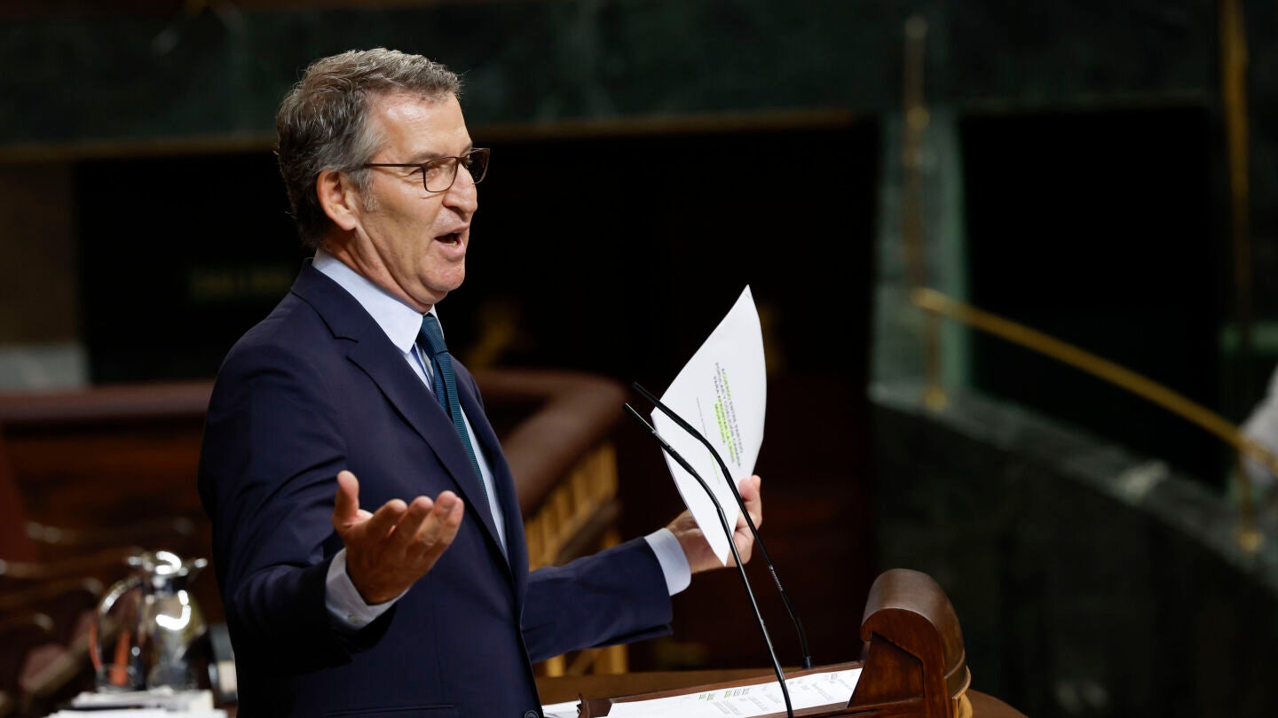 El presidente del PP, Alberto Núñez Feijóo interviene tras la comparecencia del jefe del Ejecutivo