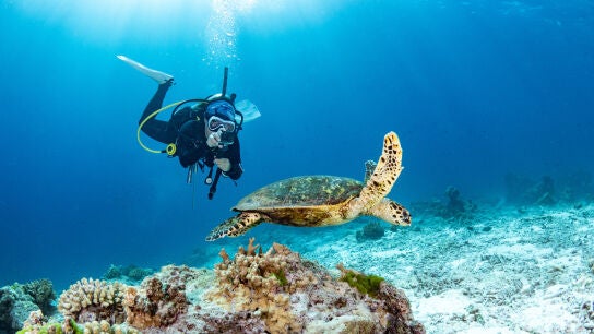 Joven haciendo buceo