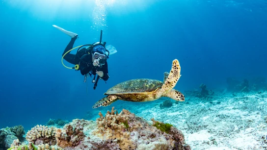 Joven haciendo buceo Joven haciendo buceo