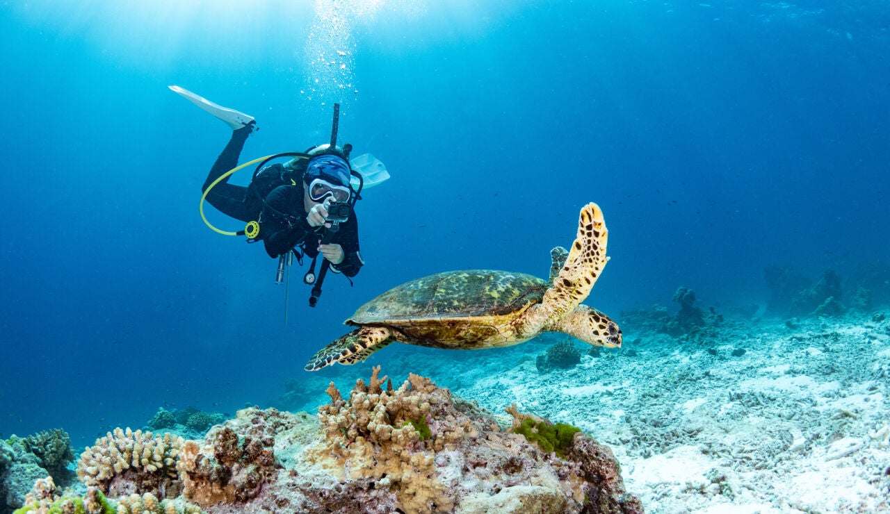Joven haciendo buceo