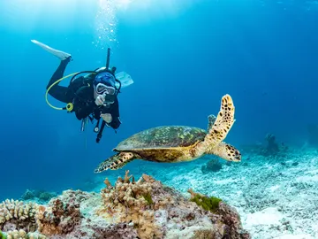 Joven haciendo buceo Joven haciendo buceo