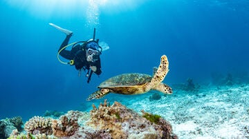 Joven haciendo buceo
