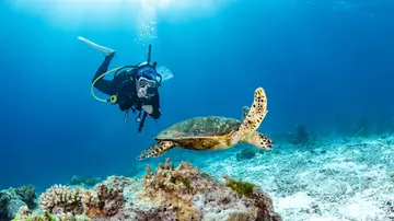 Joven haciendo buceo Joven haciendo buceo