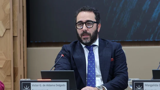 Víctor de Aldama, implicado en el caso Koldo  Víctor de Aldama, implicado en el caso Koldo