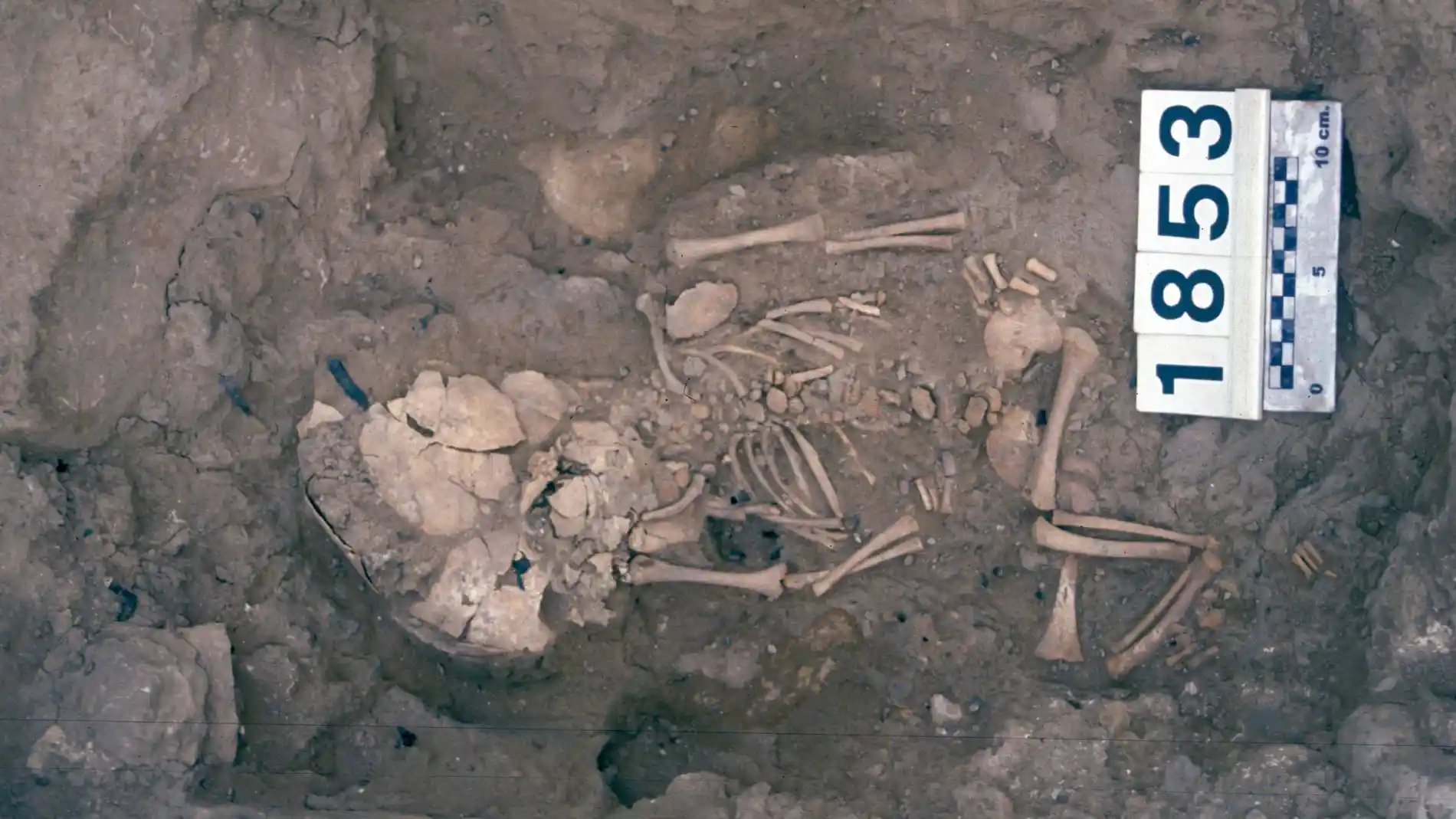 enterramientos de bebés iberos en casas enterramientos de bebés iberos en casas