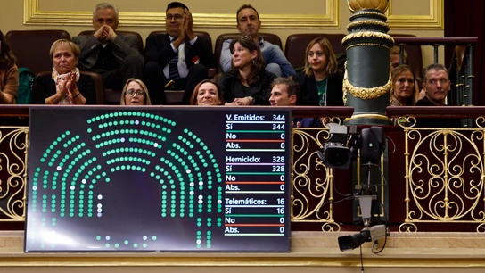 Una pantalla muestra el resultado de la votación delante de la tribuna de invitados en el Congreso de los Diputados desde la que asiste el exjugador y exentrenador Juan Carlos Unzué, enfermo de ELA Una pantalla muestra el resultado de la votación delante de la tribuna de invitados en el Congreso de los Diputados desde la que asiste el exjugador y exentrenador Juan Carlos Unzué, enfermo de ELA