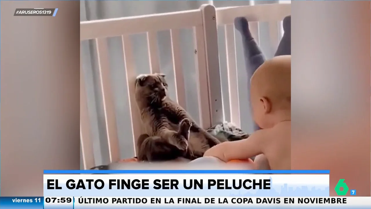 El gracioso viral de un gato que finge ser un peluche para que un bebé no le moleste