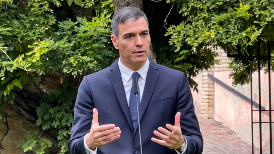 El presidente del Gobierno, Pedro Sánchez El presidente del Gobierno, Pedro Sánchez