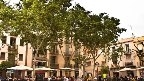 Plaza de la Villa de Gracia. Barcelona Plaza de la Villa de Gracia. Barcelona