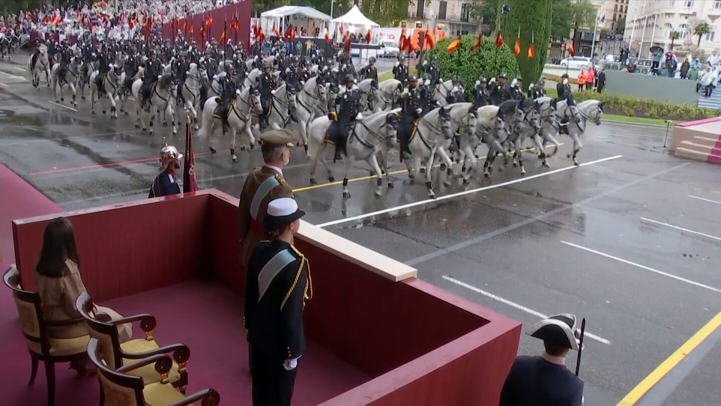 caballos-desfile