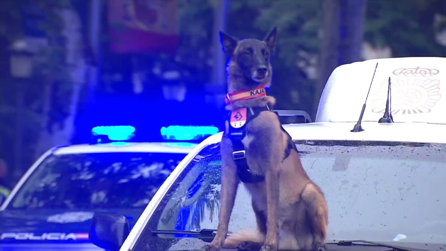 perro-policia