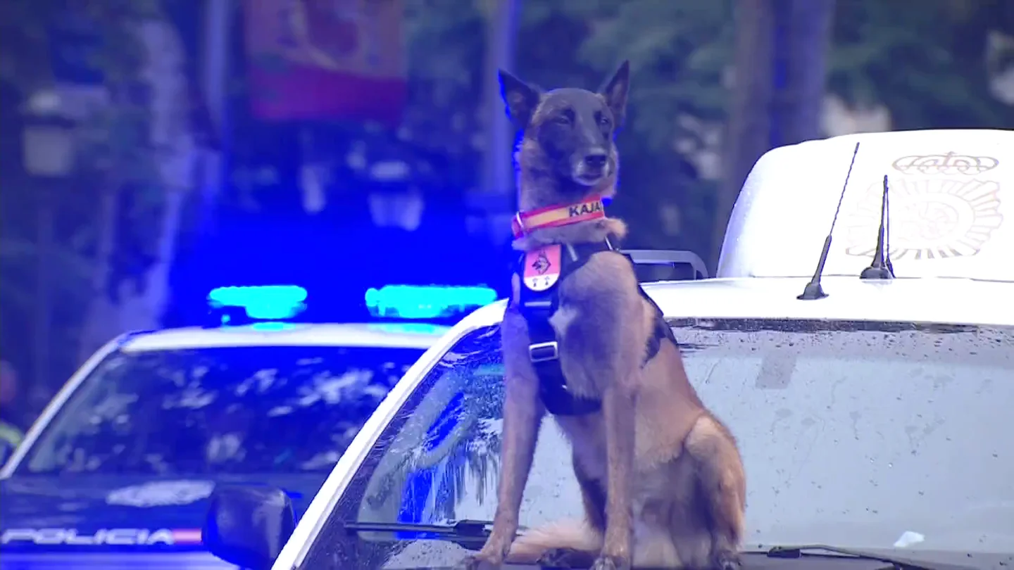 perro-policia perro-policia