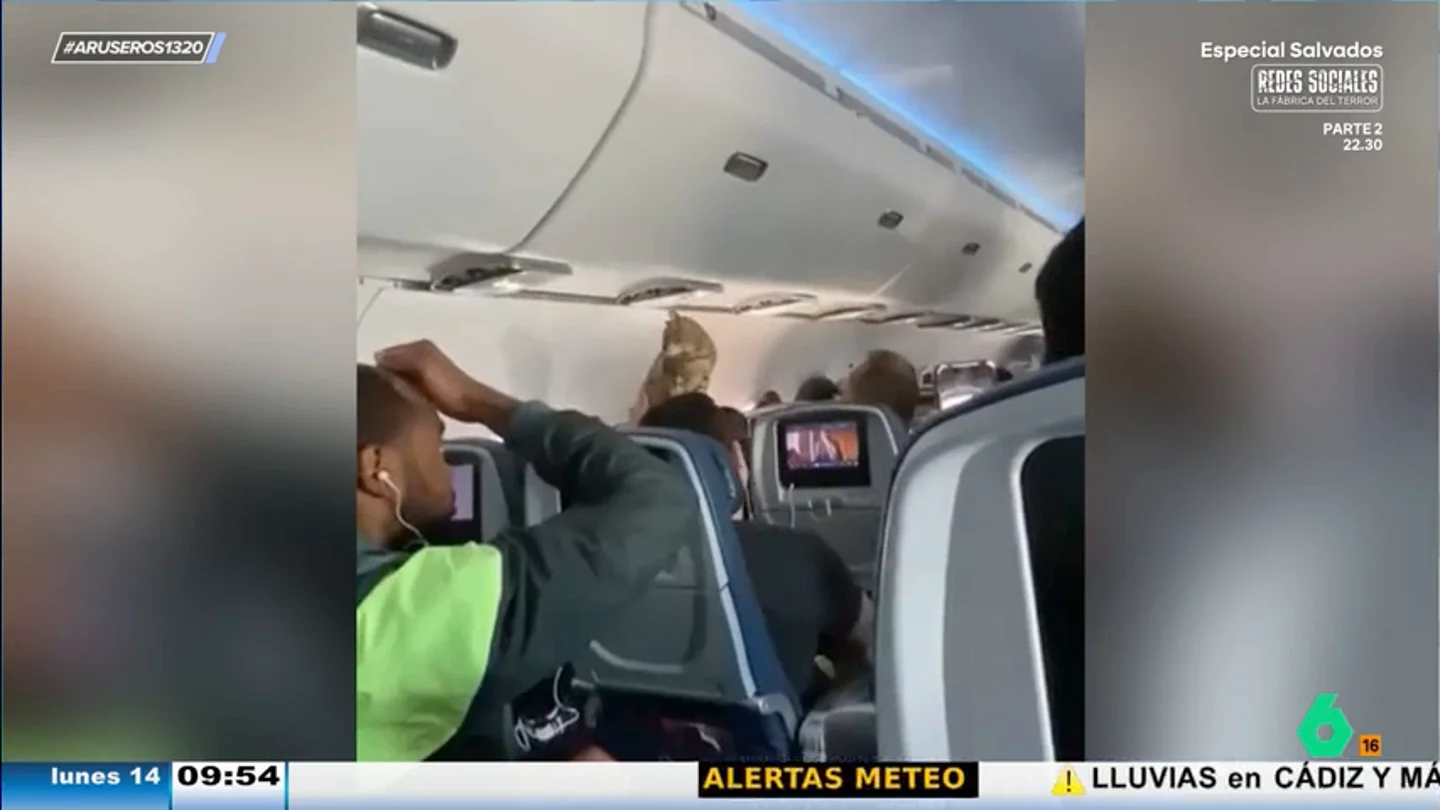 Un gato desata el caos en un vuelo al escaparse del transportín justo cuando el avión va a despegar Un gato desata el caos en un vuelo al escaparse del transportín justo cuando el avión va a despegar