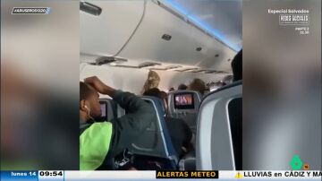 Un gato desata el caos en un vuelo al escaparse del transportín justo cuando el avión va a despegar