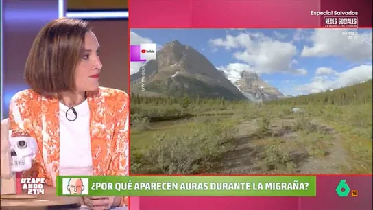¿Por qué aparecen auras durante la migraña? Boticaria García lo desvela en Zapeando Este tipo de dolor de cabeza puede ir acompañado de un tipo de alteración que aparece y desaparece como, por ejemplo, destellos visuales u otras alteraciones sensitivas.