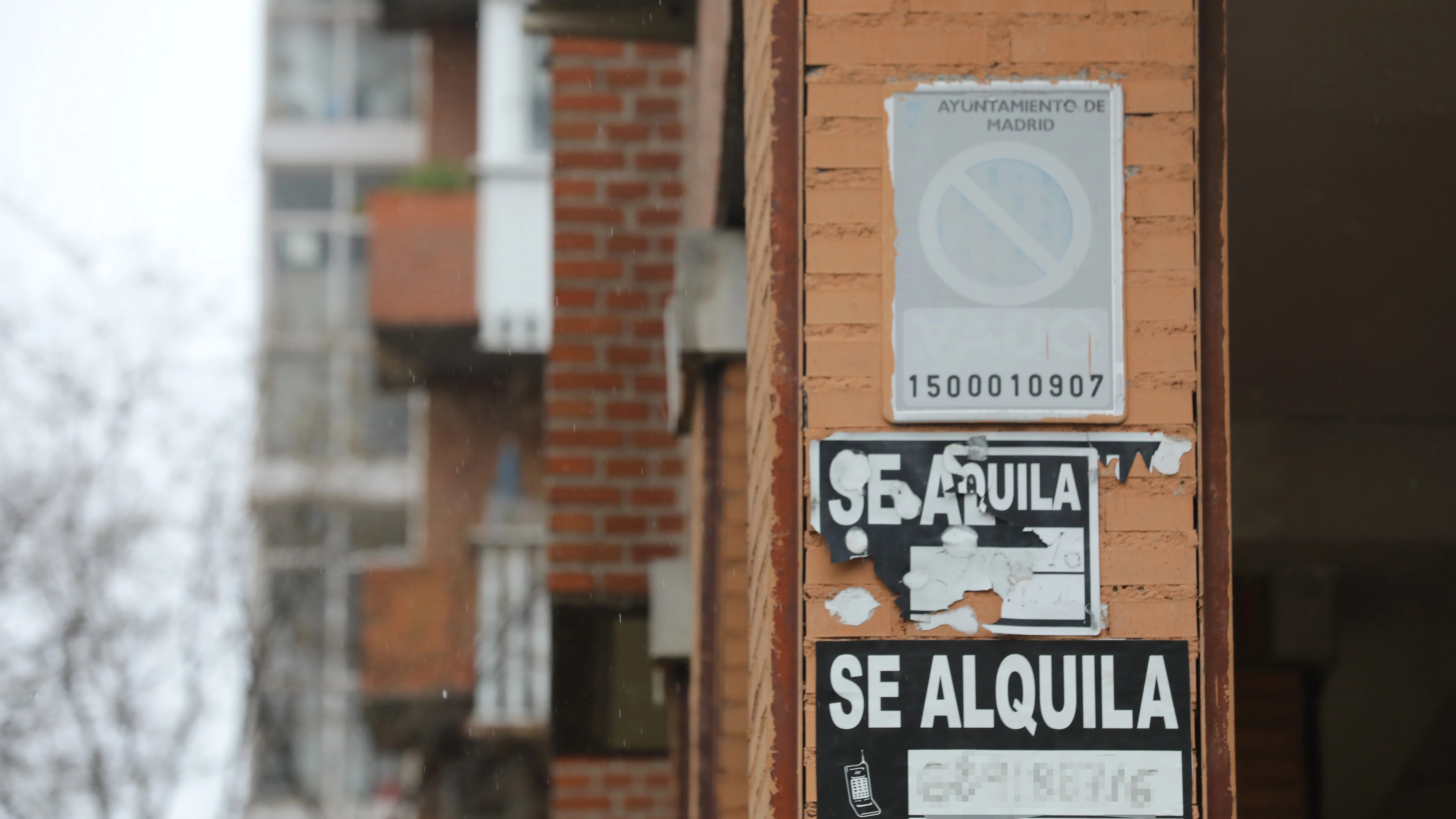 Varios carteles de 'Se Alquila' en la pared de un edificio.