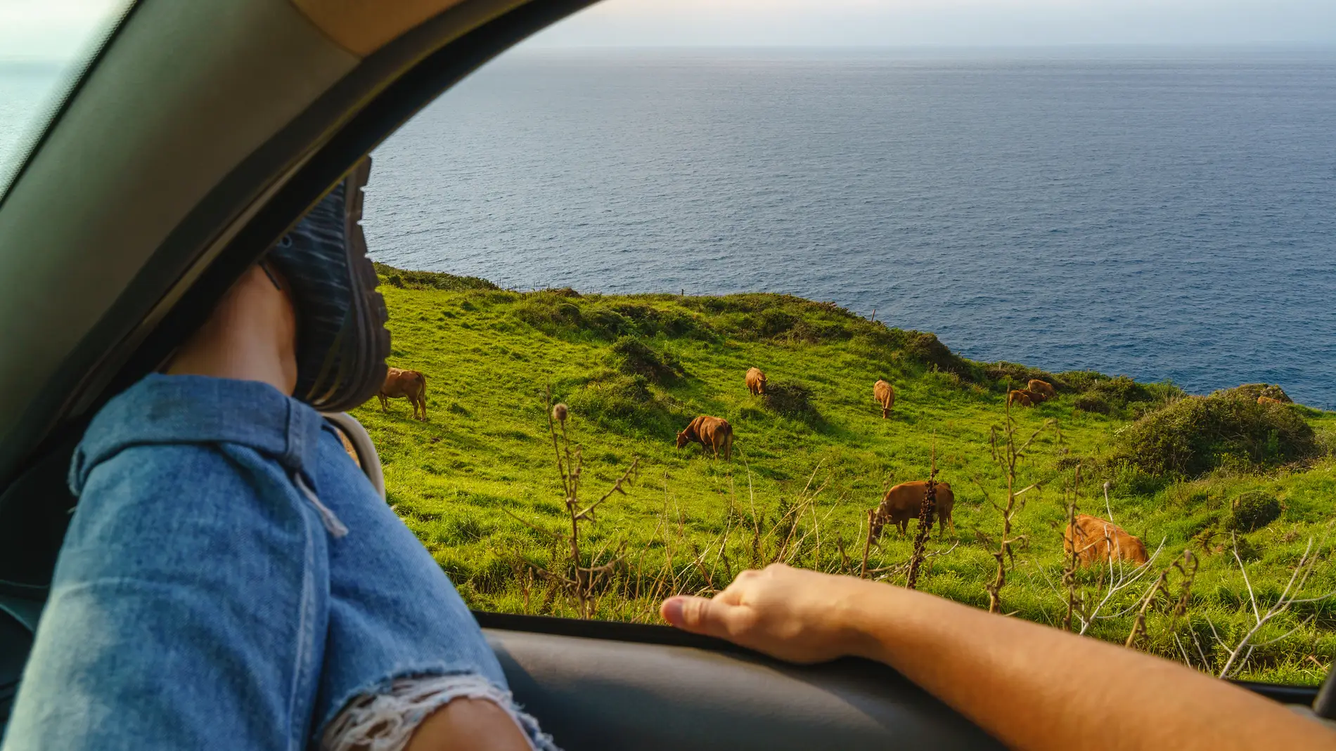Chico viajando en coche por el norte de España Chico viajando en coche por el norte de España
