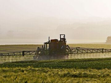 Uso de pesticidas en el campo