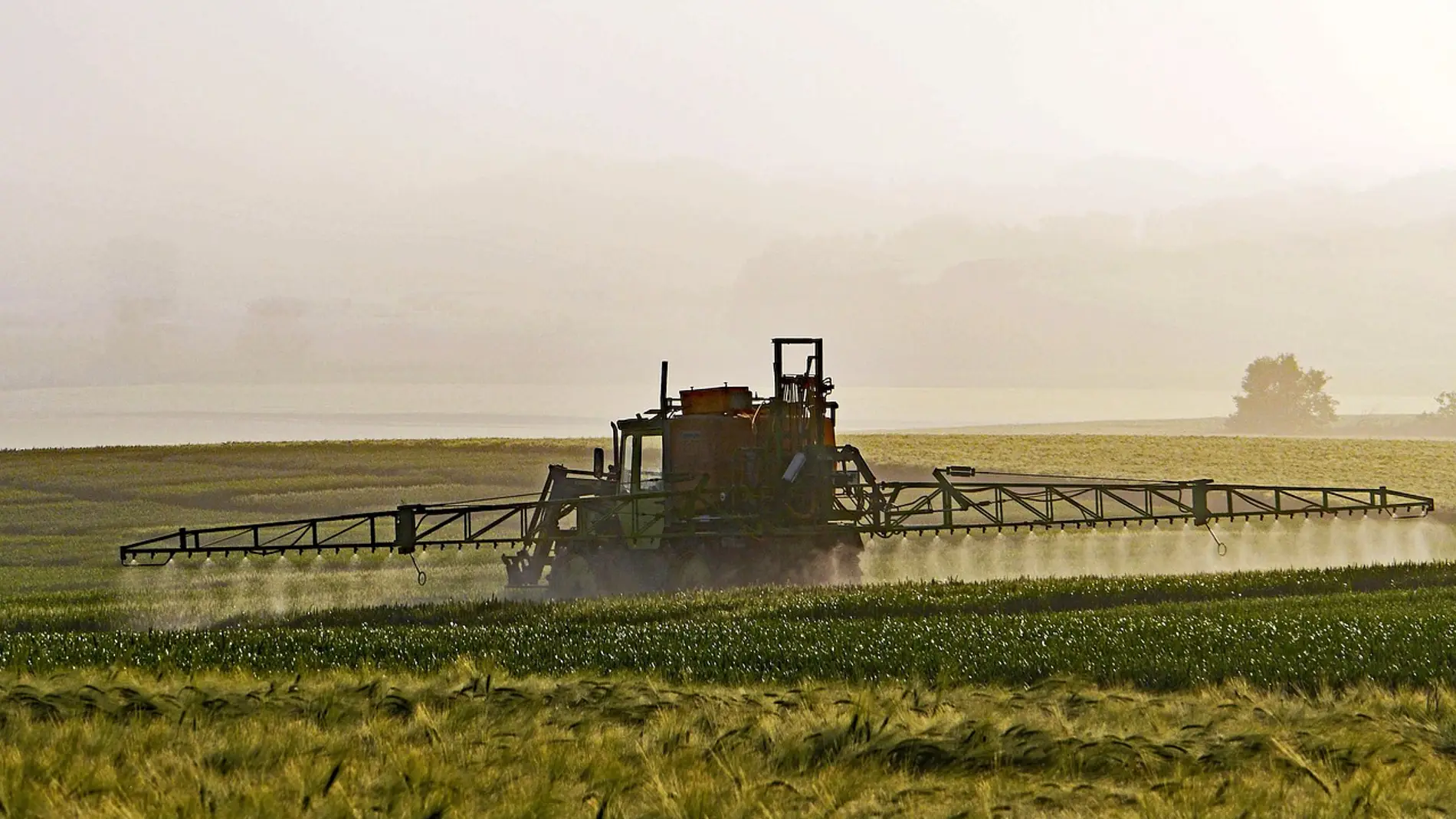 Uso de pesticidas en el campo Uso de pesticidas en el campo