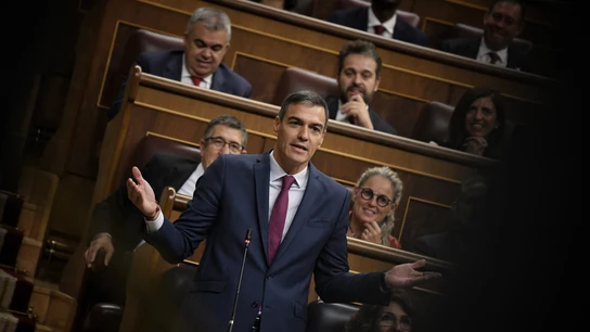 El presidente del Gobierno, Pedro Sánchez, interviene en la sesión de control al Ejecutivo celebrada este miércoles en el Congreso. El presidente del Gobierno, Pedro Sánchez, interviene en la sesión de control al Ejecutivo celebrada este miércoles en el Congreso.