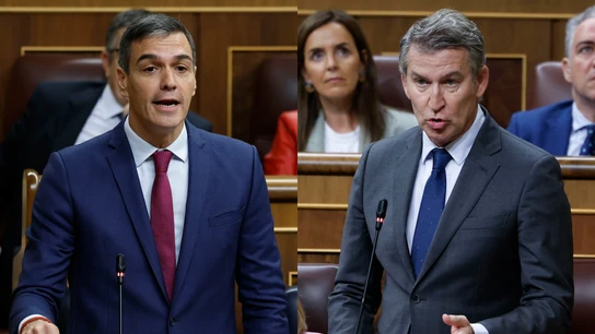 Cara a cara de Sánchez y Feijóo en la sesión de control Cara a cara de Sánchez y Feijóo en la sesión de control